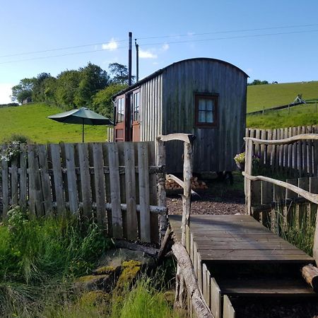 Eco Accommodation Cornflower كرافن آرمز المظهر الخارجي الصورة