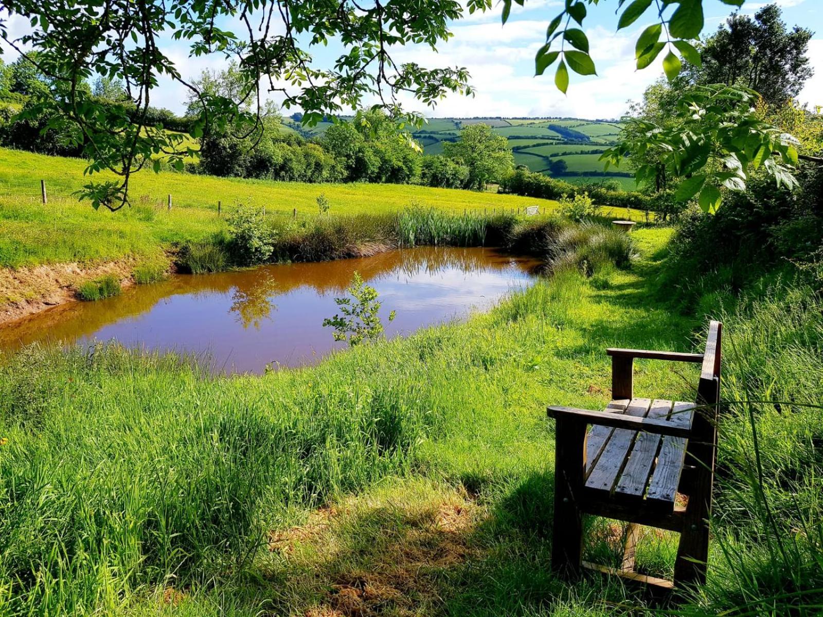Eco Accommodation Cornflower كرافن آرمز المظهر الخارجي الصورة